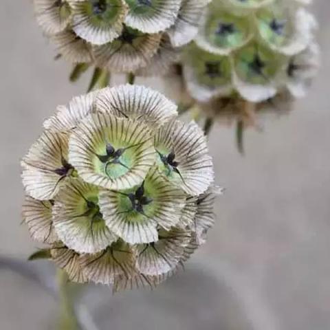 《消零世界》月亮果实任务攻略：揭秘奇异触发技巧，轻松完成奇遇挑战