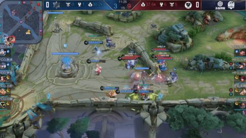 张郃制胜地主王姨攻略：轻松掌控游戏局势