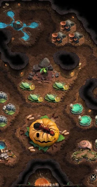 新手必看！自然护卫队蚁巢攻略：掌握高效玩法技巧