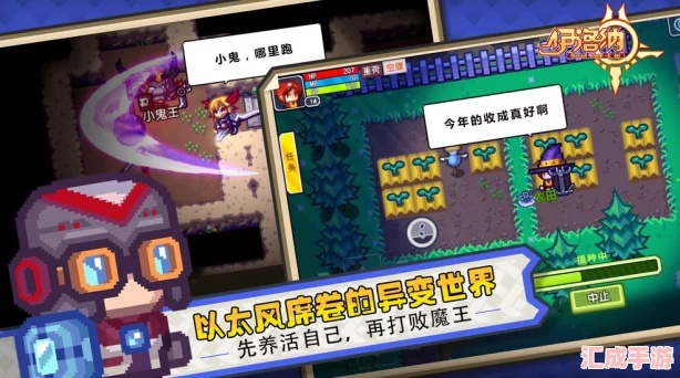 伊洛纳宠物商人精准定位，独家攻略助你快速找到宝藏地点