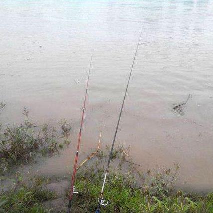 钓鱼游戏人气排行：盘点十大热门必玩钓游精选