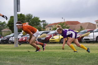 《哈利·波特》魁地奇赛体验：粉丝专属飞行竞技盛宴