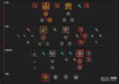 伊瑟蝰蛇技能攻略：高效加点与搭配秘籍大揭秘