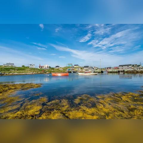 遗迹券轻松拿！揭秘蔚蓝星球永久宝藏获取攻略