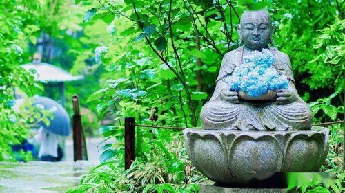 心动小镇探秘：10.9版溜溜橡木与无瑕萤石宝藏攻略