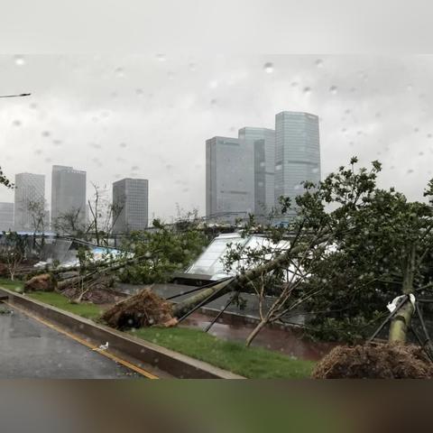 末日来袭攻略汇总：独家秘籍助你轻松通关，掌握生存法则！