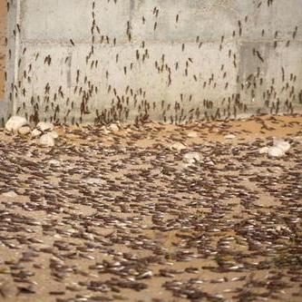 《横扫天下》红包盛宴！8月11日00:10，227区千亿红包等你瓜分，独家福利来袭！