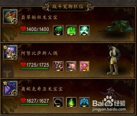 洛伊要塞希亚努技能专武盘点：揭秘绝版装备新亮点