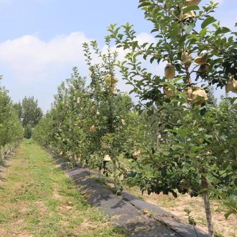 硬核游戏盘点：揭秘热门榜单，探索必玩佳作攻略