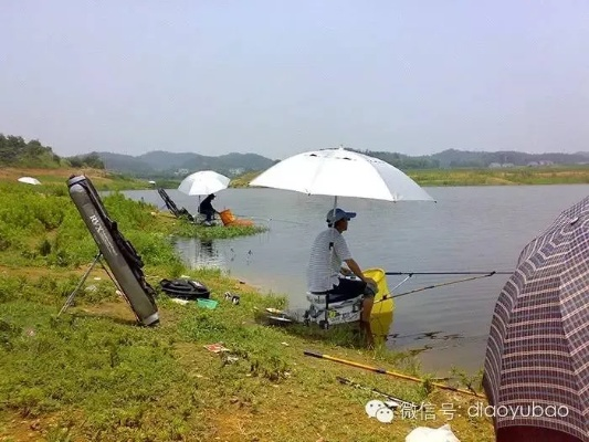 华夏钓鱼秘籍：揭秘虾蟹钓法与顶级垂钓胜地