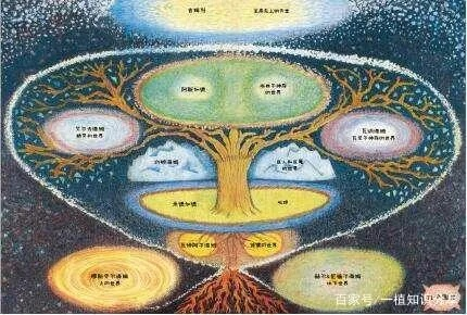 解锁人生世界树第五第六枝干，突破等级新境界！