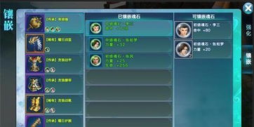 美杜莎专属攻略：揭秘龙魂旅人装备选择秘籍，助你战力飙升！