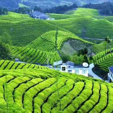 社交游戏盘点：揭秘十大热门必玩佳作，解锁全新娱乐体验