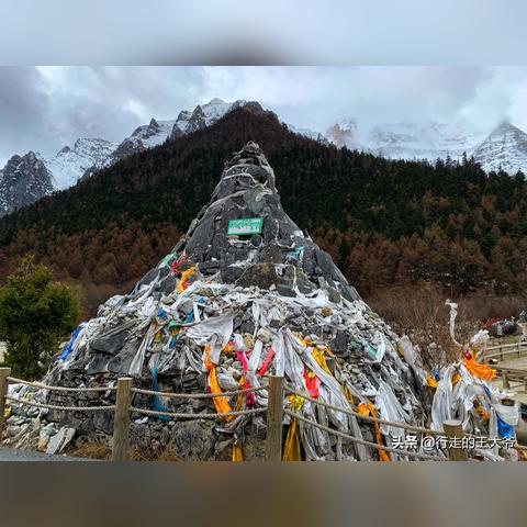 《蔚蓝星球76-80关》通关秘籍：高效攻略助你轻松闯关，解锁新境界