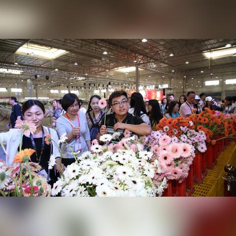 十大热门互动游戏盘点：必玩交流盛宴推荐