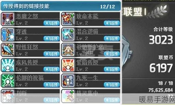 冒险岛联盟升级必看：高效意志提升攻略秘籍