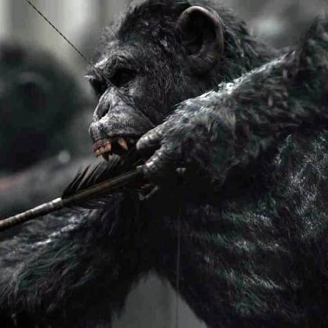 星球重启兑换码攻略：获取最新礼包兑换秘籍大全