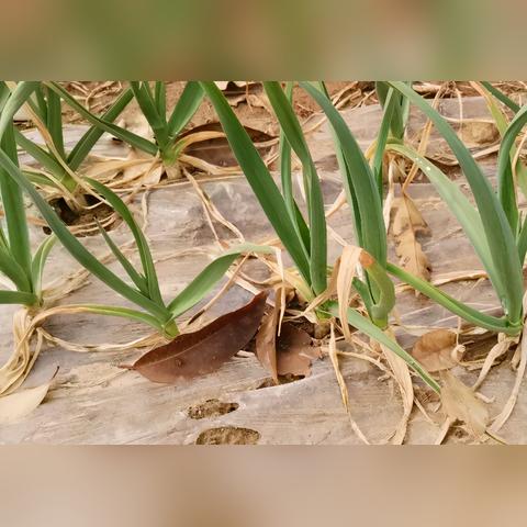 《元素方尖》探险新体验：每场冒险解锁独特收获