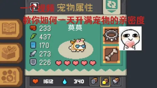 快速提升元气骑士前传宠物亲密度的独家秘籍！