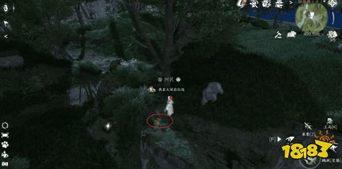 逆水寒手游仙居原动物好感度快速提升攻略秘籍