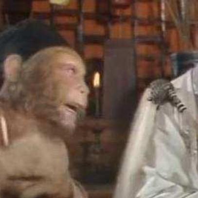 方寸对决卡组搭配攻略：打造无敌阵容，掌握胜局关键