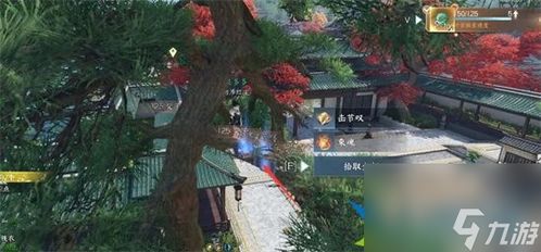 逆水寒手游花灯传情攻略：解锁浪漫互动新玩法