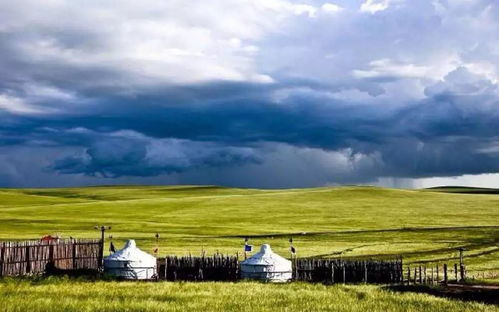 幽谷草原25关轻松通关！伙伴弹途攻略秘籍大揭秘