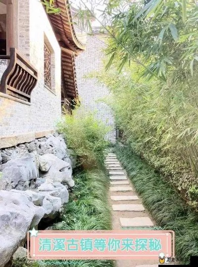 桃源秘境攻略：萝萝古镇游玩全解析，深度体验攻略必看