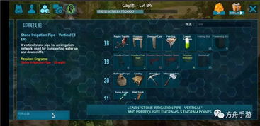 《流浪方舟》核心提取攻略：深度解析，解锁游戏新境界