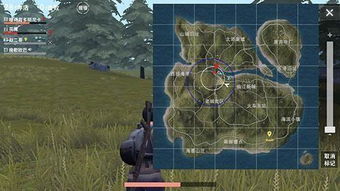 荒野金字塔霸主攻略：稳中求胜吃鸡秘籍