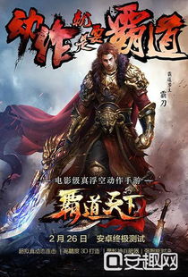 霸道动作体验，揭秘《霸道天下》独步江湖的魅力