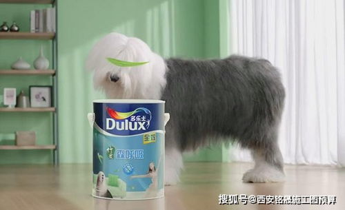 渔女攻略：掌握代号鸢三千宇宙战斗技巧秘籍