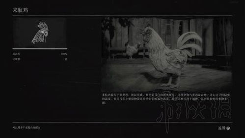 寂静岭F奖杯攻略：轻松解锁“大愿得成”奖杯技巧分享