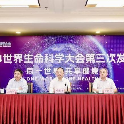 2024年度热门合成游戏盘点，下载必看新趋势！