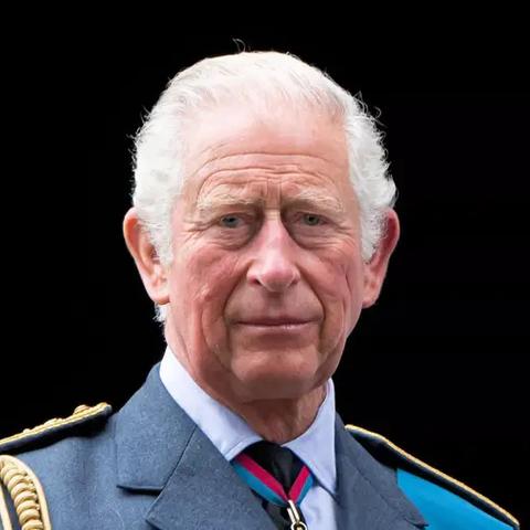 动物餐厅四封关键信件攻略：解锁餐厅成功秘诀，必看高能技巧！