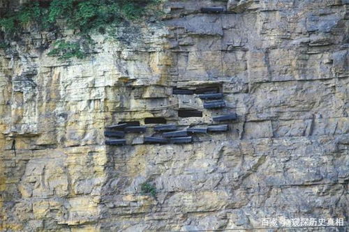 无人机技能深度揭秘：弹壳特攻队攻略指南