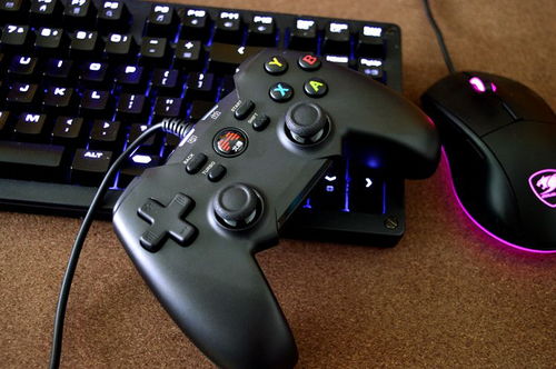 热门手柄游戏推荐：解锁全新游戏体验，手柄控必看排行！