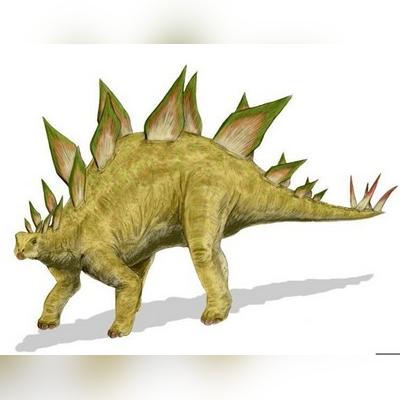 龙游戏盘点：热门精选，揭秘最佳龙游戏排行