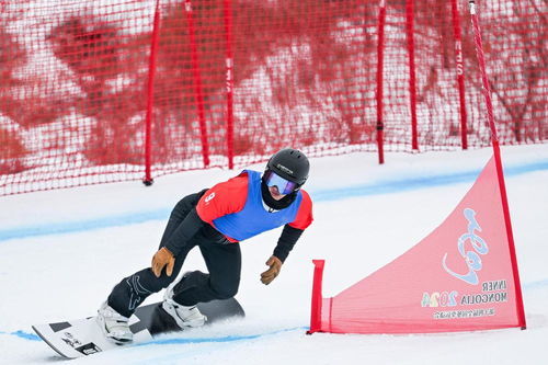 单板滑雪游戏盘点：揭秘十大热门好玩游戏推荐