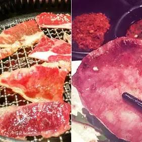 动物餐厅顾客解锁技巧揭秘，轻松畅玩攻略全解析