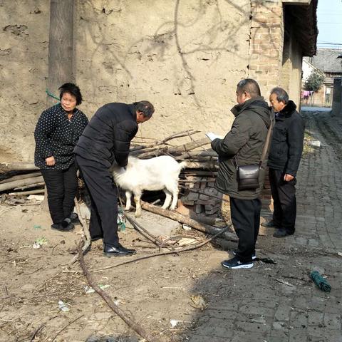 爆款疫病模拟游戏盘点：下载量飙升的防疫策略大揭秘