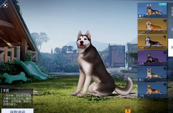 《黎明觉醒》宠物养成攻略：揭秘生机系统独特玩法