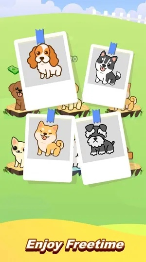 《猫变狗攻略》揭秘：高效通关技巧，轻松解锁新宠物！