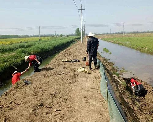 解忧小村落高效养虾技巧，轻松解锁财富之门