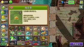 植物大战僵尸2狂野西部14关必胜攻略：轻松通关，解锁隐藏宝藏