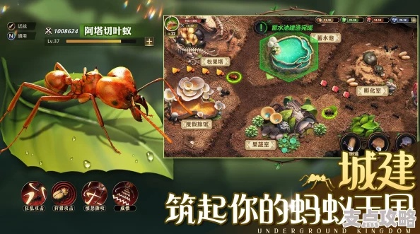 地下蚁国最新礼包密钥全解析 高效领取步骤与实战指南