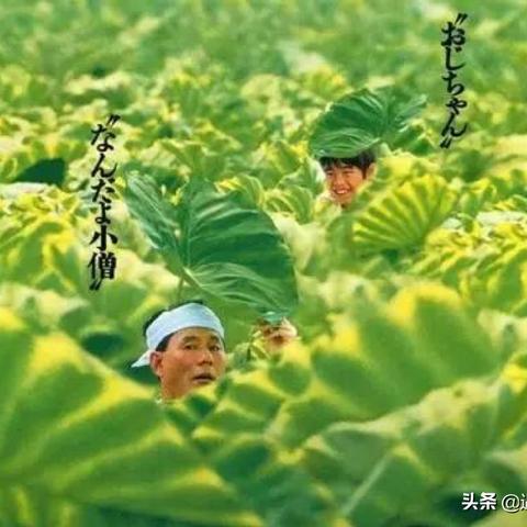 《旅行青蛙》下载量骤减，爆款游戏如何陷入团队困境？揭秘重生之路