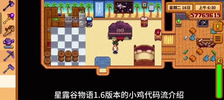 星露谷物语必备！小鸡代码攻略大全解析