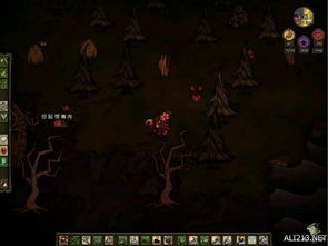 寂静岭驯狐师奖杯解锁攻略，高效达成新技巧揭秘