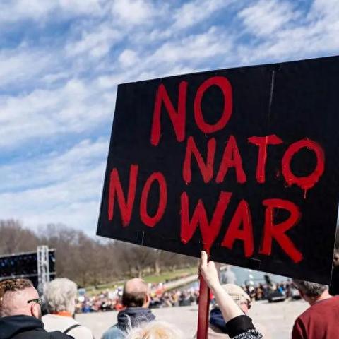 致命公司兑换码大揭秘！2025最新兑换秘籍揭晓